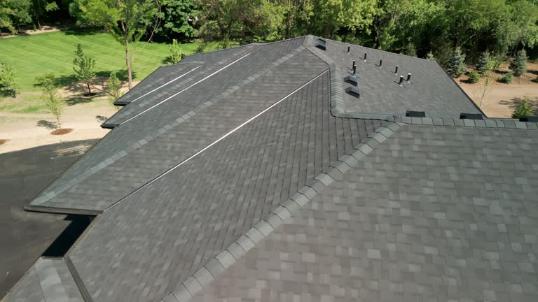 Best Solar Panel Roofing Installation  in Galva, KS